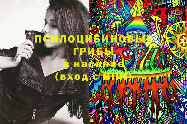 прущие грибы Алзамай