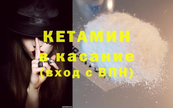 гашик Тайга