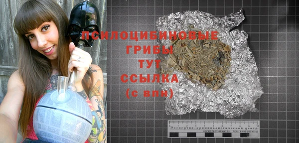 прущие грибы Алзамай