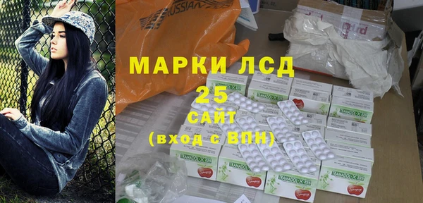 прущие грибы Алзамай