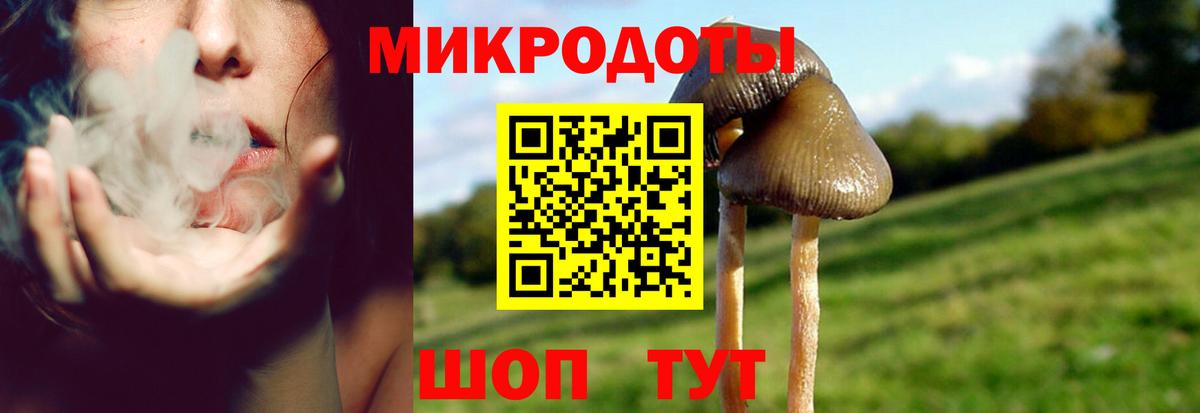 Чебаркуль  Псилоцибиновые грибы мухоморы  цены   Вход с VPN 